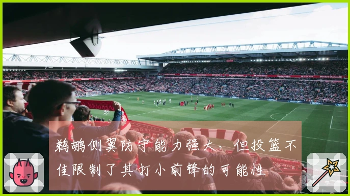 鹈鹕侧翼防守能力强大，但投篮不佳限制了其打小前锋的可能性